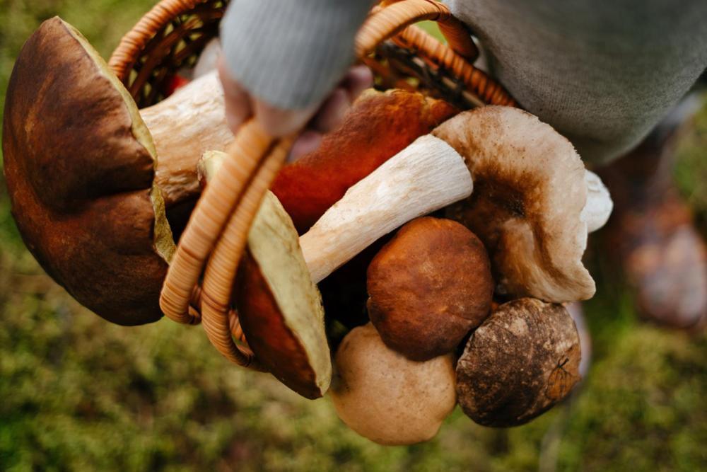 Ruzova Chalupa Pod Klinovcem Loucna pod Klinovcem Luaran gambar